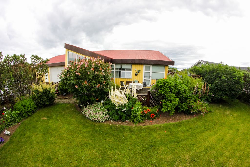 Front yard.