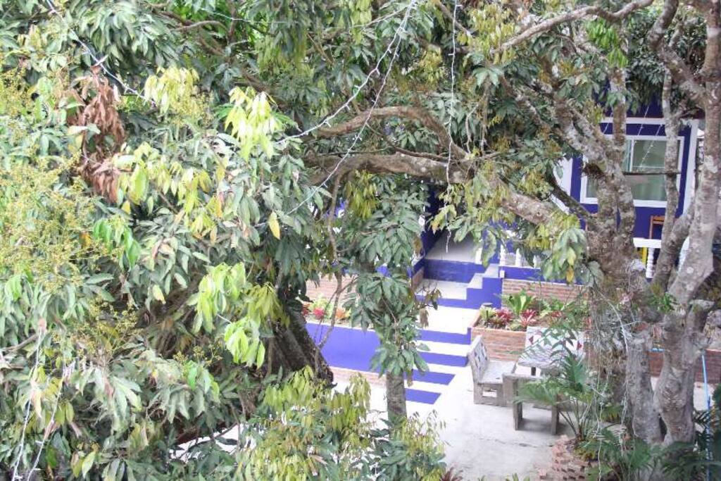 Bungalow,the first guest house in Maesalong
