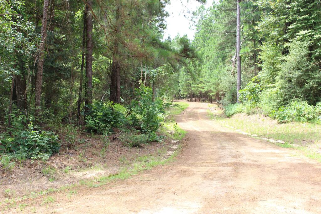 Private road to WoodsView