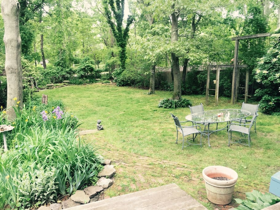 Part of my beautiful backyard