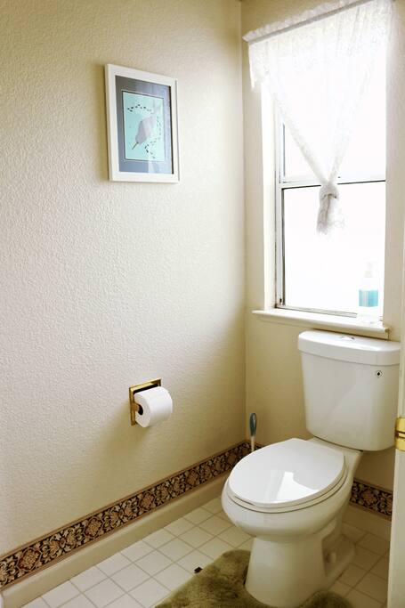 master bedroom toilet