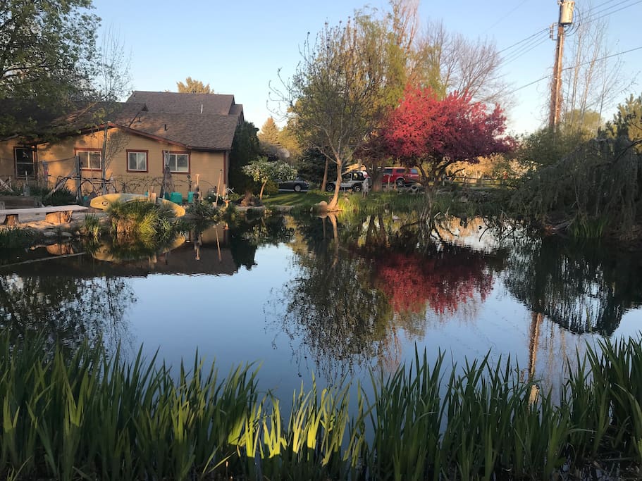 View of the pond and yard