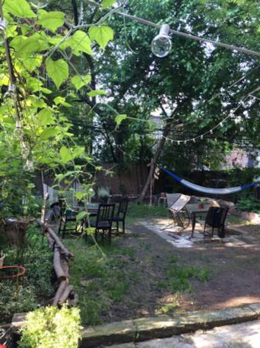 Backyard with chairs, tables, BBQ, hammock, and fresh herbs.