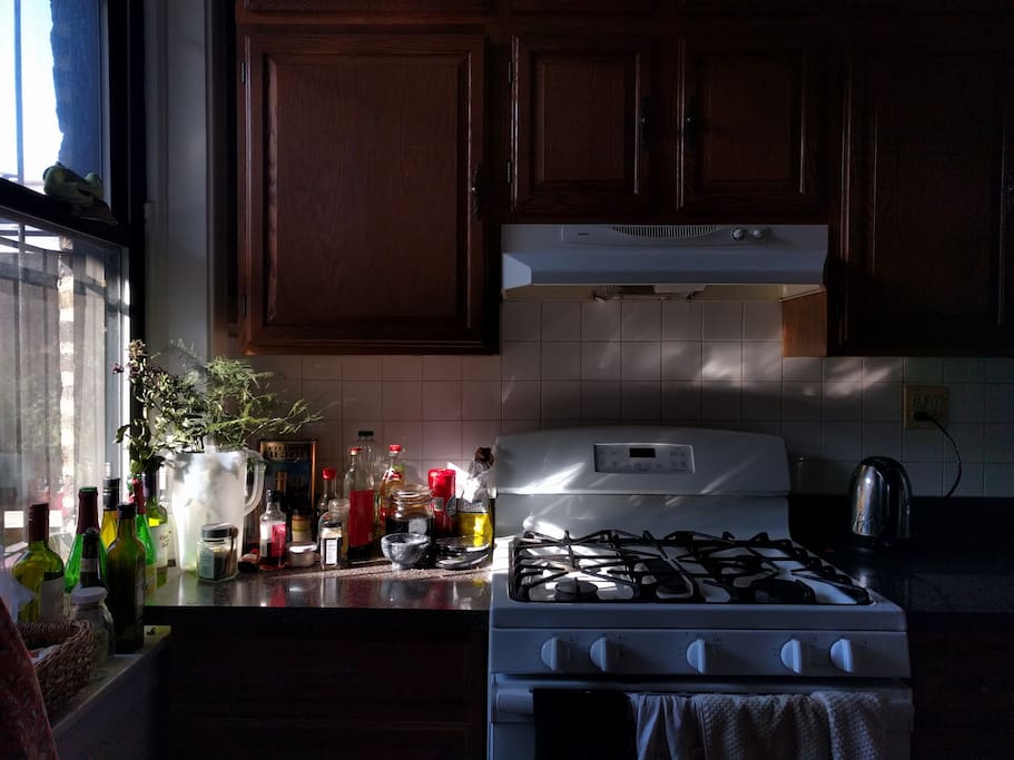 Sunlit kitchen