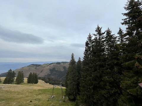 Fulg de nea