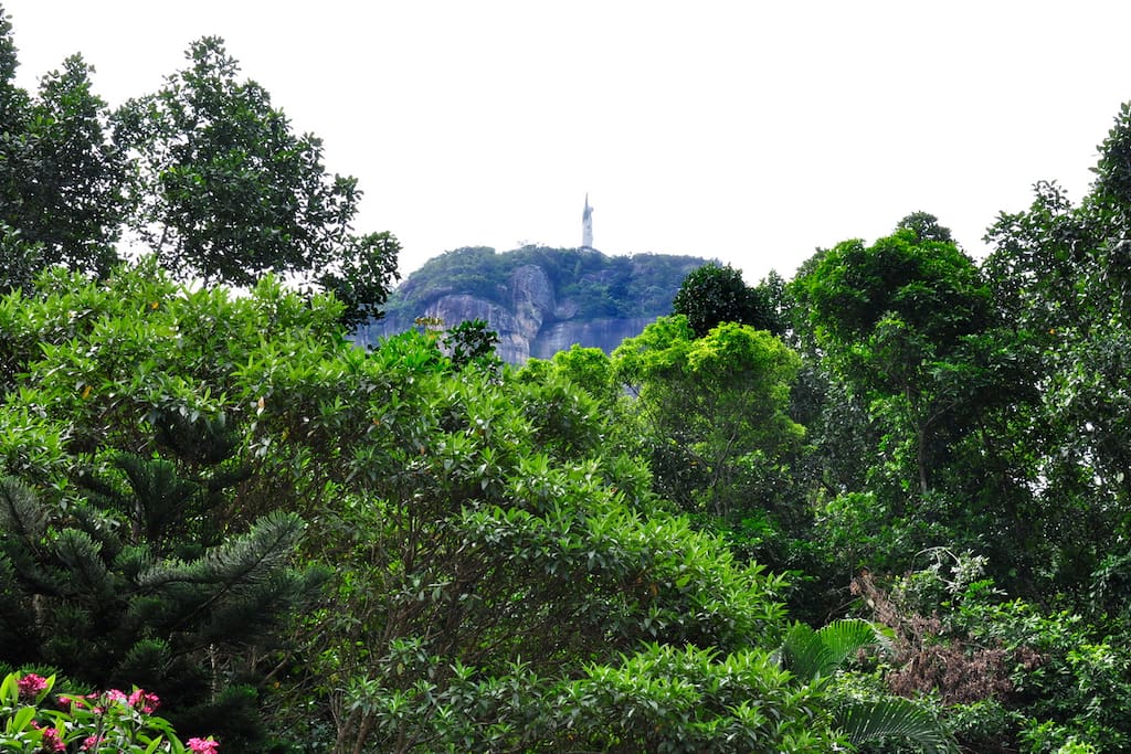 Vista jardim e Cristo