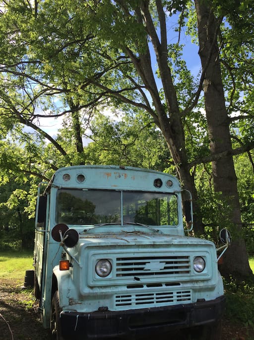 Front of the bus