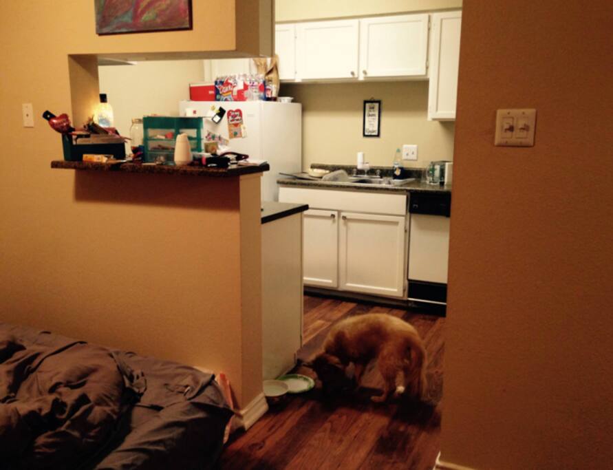 Very pet friendly. Animals of all kinds and sizes are welcome.