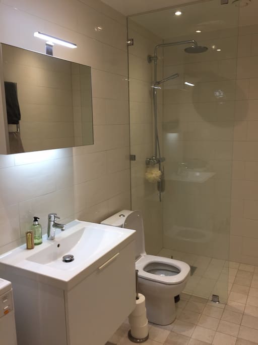 Shower, toilet and basin