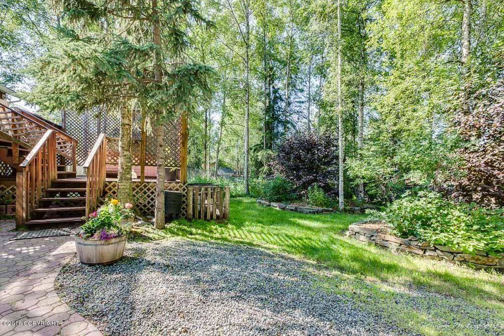 Back yard in the summer.
