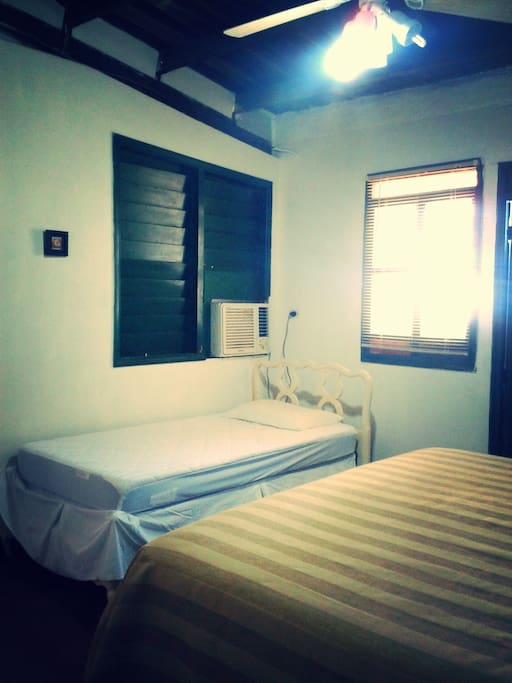 1 Single Bed