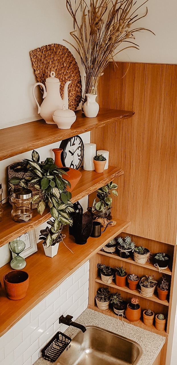 A wooden shelf displays a collection of potted plants along with decorative pieces such as a teapot and a clock. Succulents and green plants are arranged in various pots, enhancing the natural aesthetic of the space.