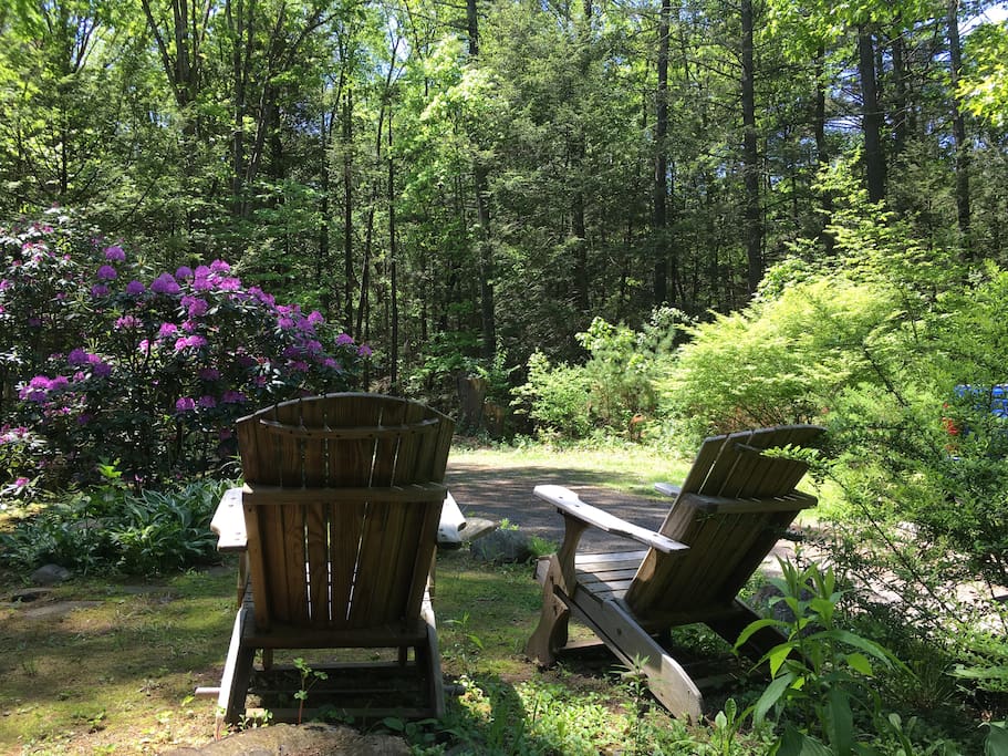 Woodland setting