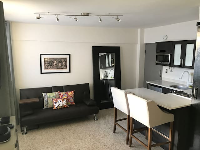 Placita de Santurce Foodie/Nightlife Studio w/prkg