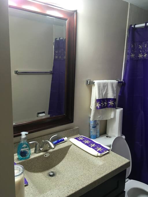Guests Bathroom