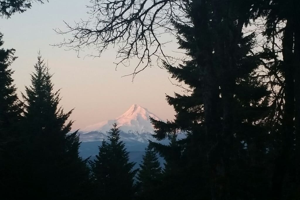 View of Mt Hood