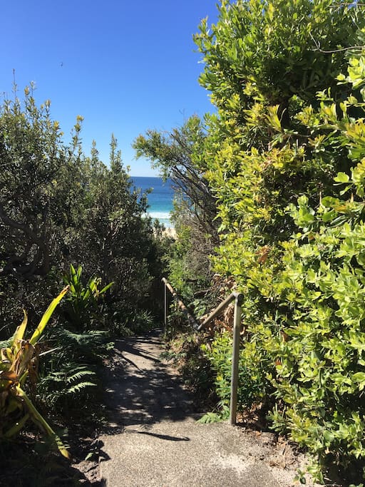 Access track to beach ( 70 m from house)