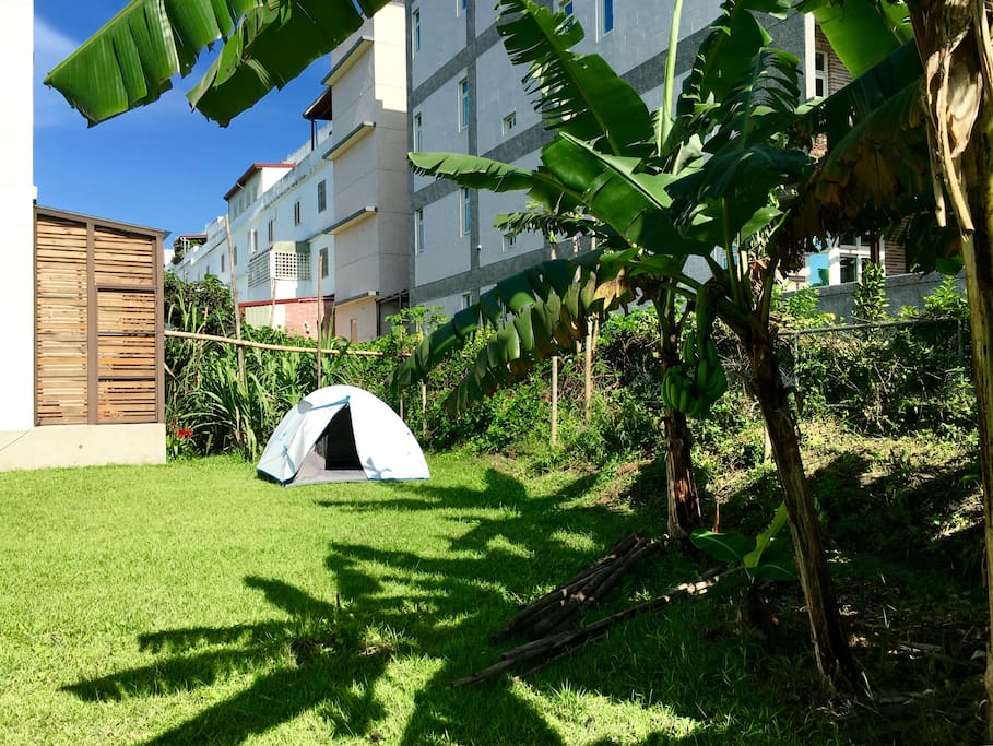A tent in the garden