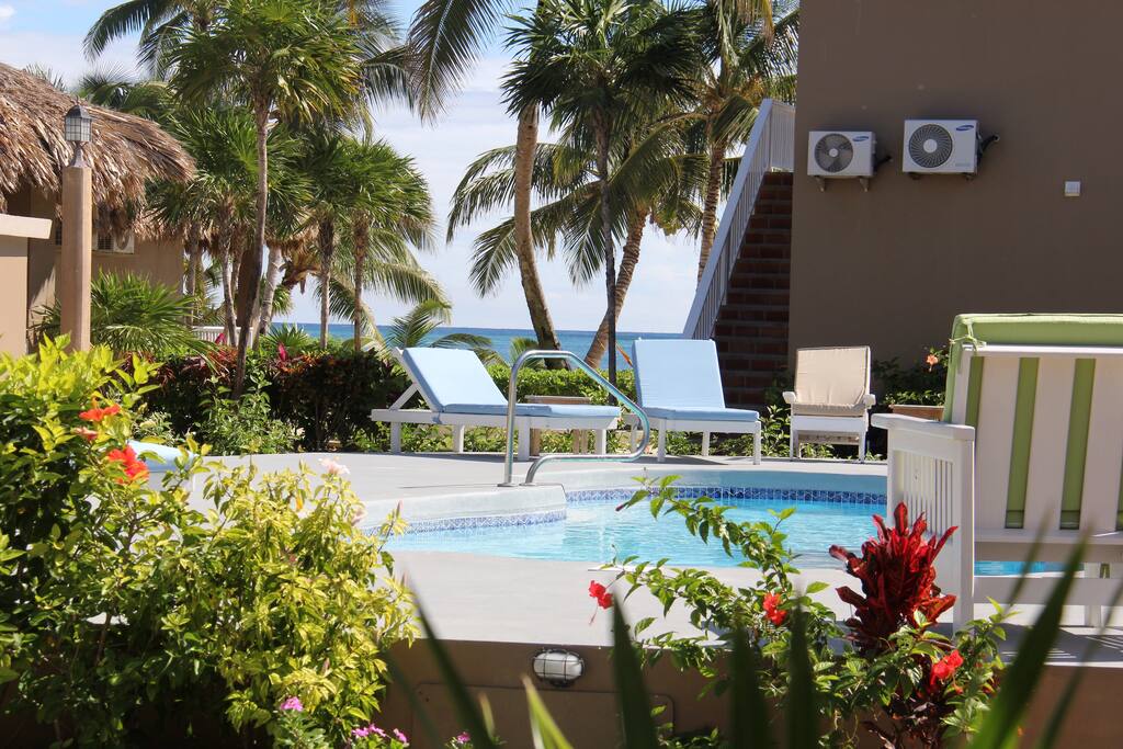 Swimming pool right outside the garden door .