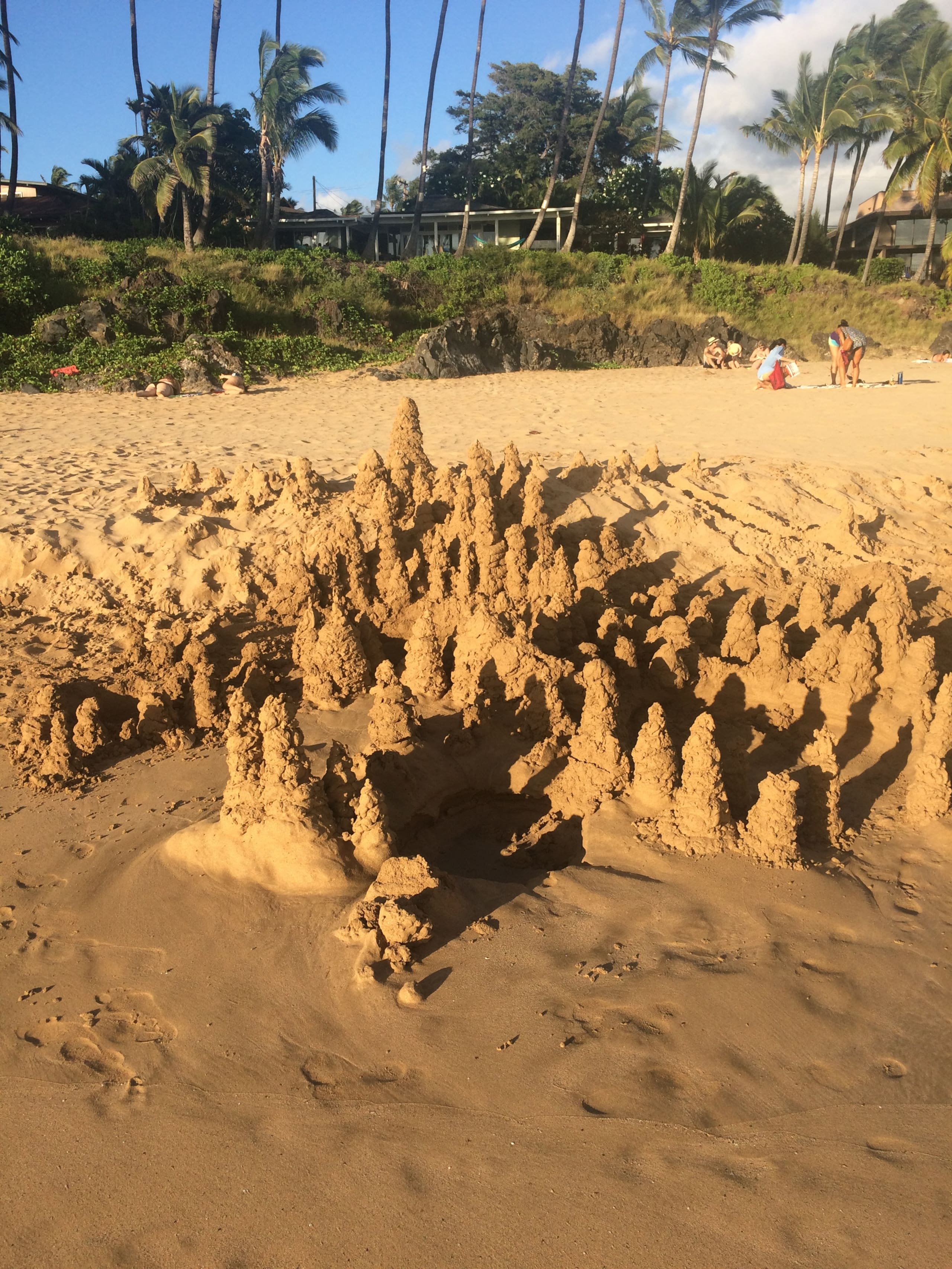 Condo in Kihei · ★4.9 · 1 bedroom · 1 bed · 1 bath - Image 42