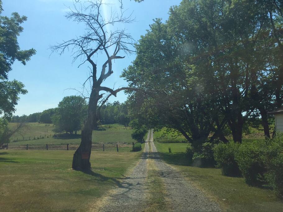 View from the road!