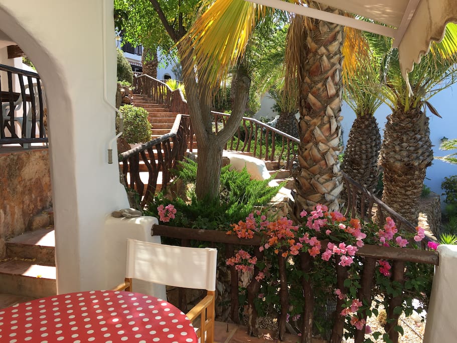 View from inside the terrace