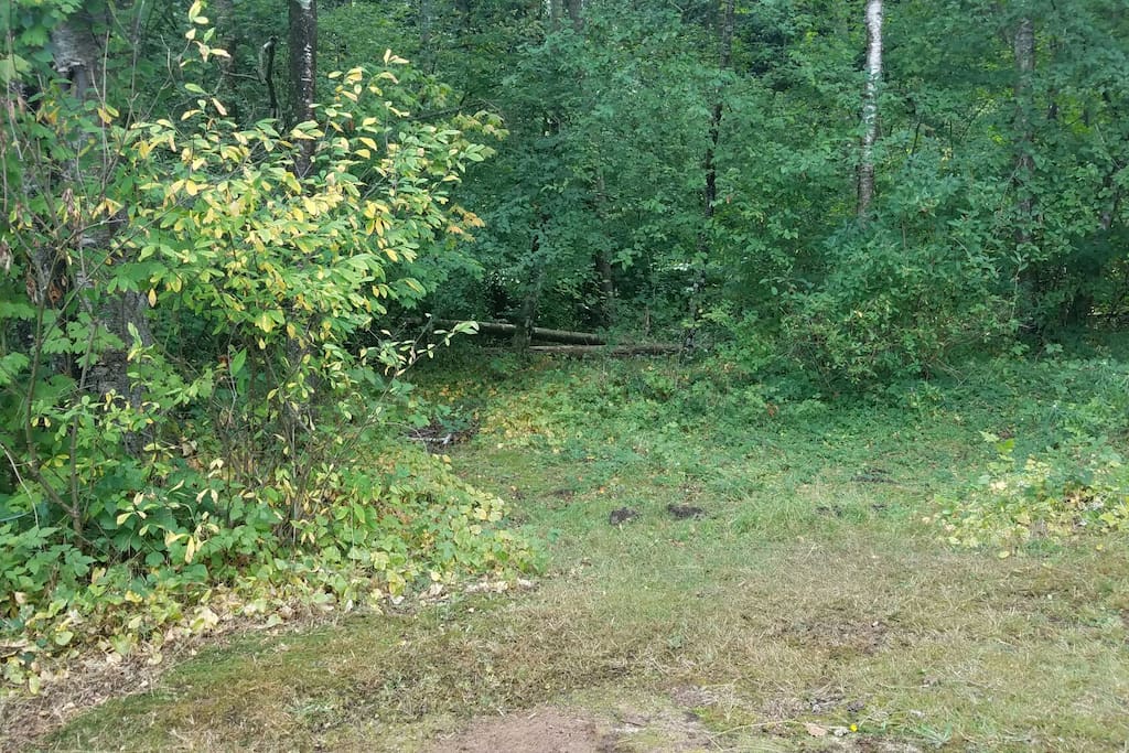 View from tent.