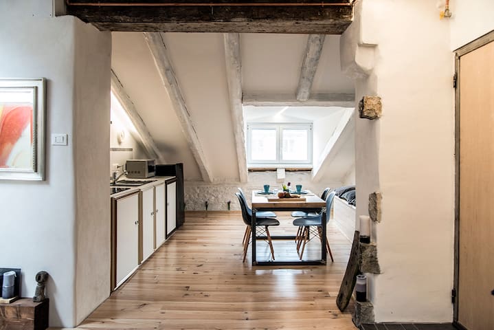 Trieste: nuovissima mansarda con vista