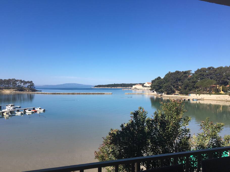 The view