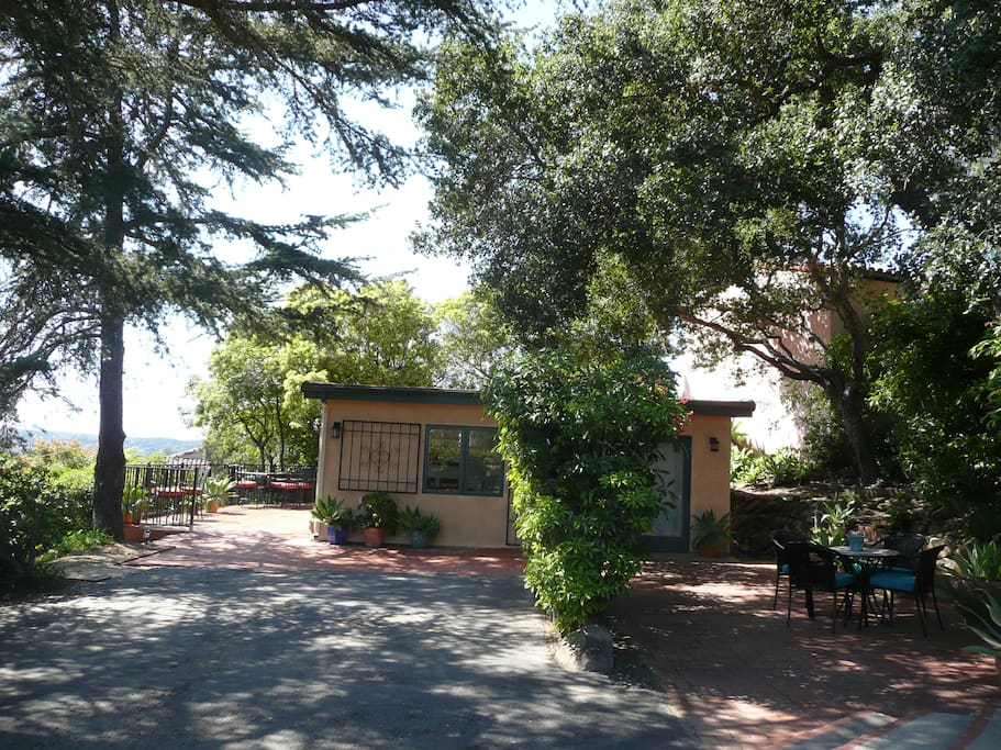 Sunny and shady gathering areas