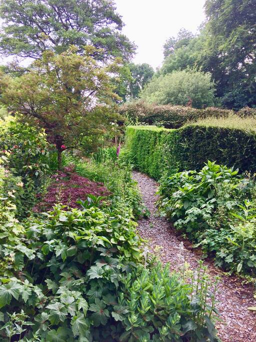 Front garden.