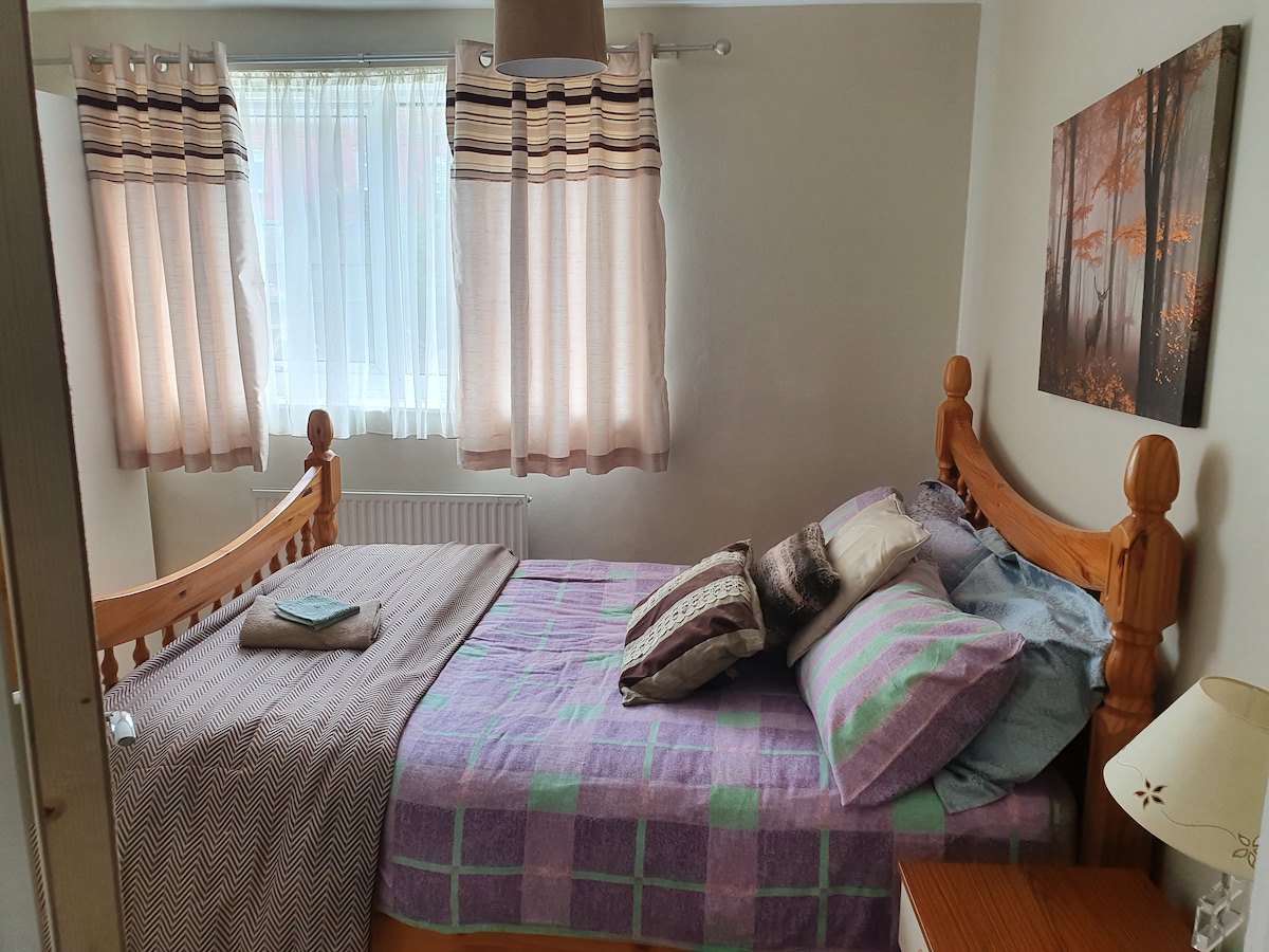The guest bedroom features a wide double bed with a patterned duvet and several pillows arranged neatly. Soft natural light filters through sheer curtains beside the bed. A bedside lamp and a small piece of wall art depicting a forest scene add to the room's welcoming ambiance.