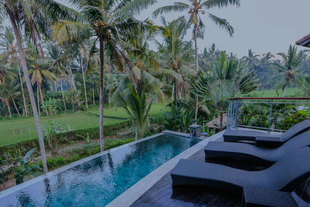 Your own private pool with this view!
