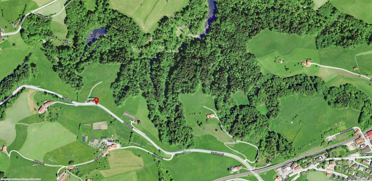 Aerial view captures the lush landscape surrounding the shirin-yoku.center, featuring expansive green fields and forested areas. A winding road is visible, leading to scattered residential structures, while a serene water body is nestled among the greenery.