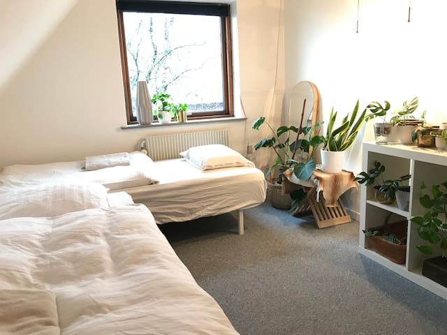 Download Billige 1 vaerelses lejligheder i long beach HD Billige 1 Vaerelses Lejligheder I Long Beach