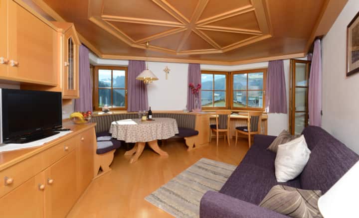 მისაღები ოთახი ორადგილიანი გასაშლელი დივნით