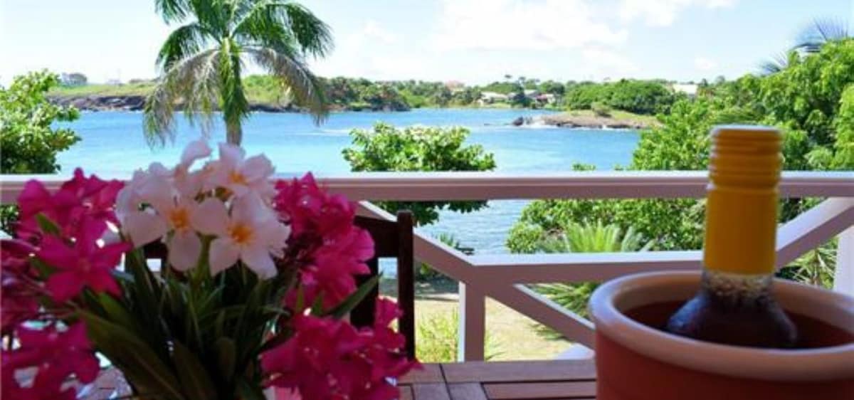 A view from the terrace showcases vibrant pink flowers in a vase beside a terracotta pot. The tranquil bay is visible in the background, with lush greenery lining the shore and a clear blue sky above. A calm and inviting ambiance is portrayed.