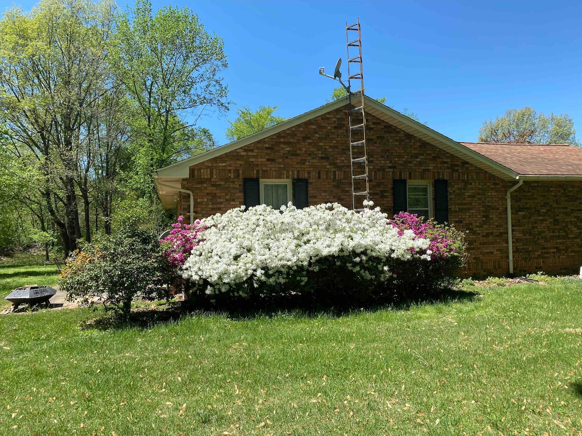 A brick home is surrounded by a vibrant display of white and pink flowering shrubs. A brown wooden ladder leans against the side of the house. Lush green grass covers the front yard, while trees are visible in the background under a clear blue sky.