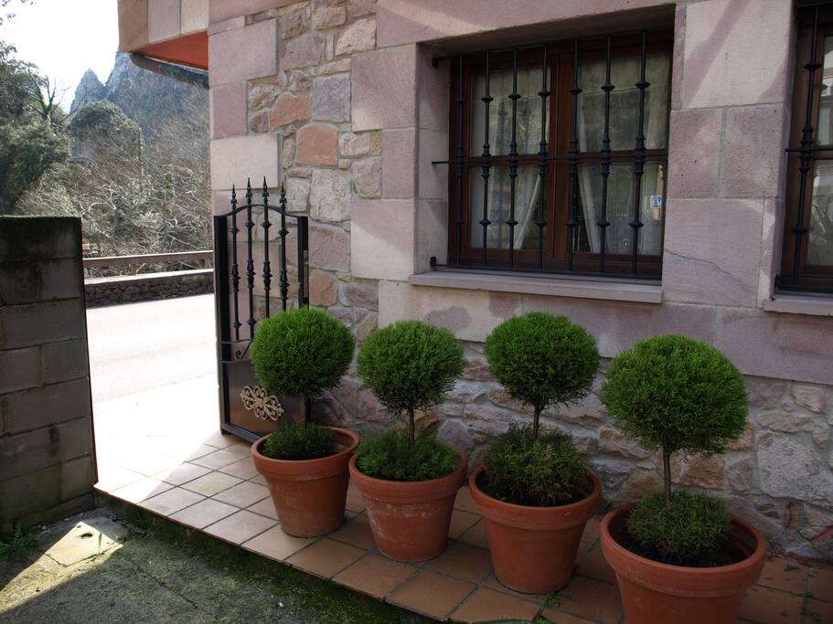 Terraza