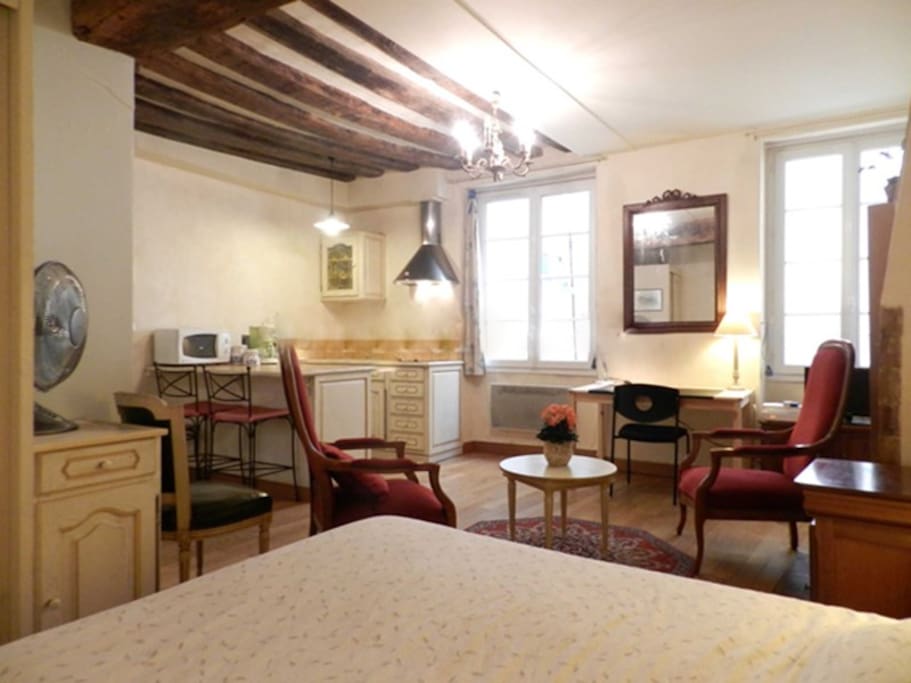 Living
The 19 square meters living room has 2 double glazed windows facing courtyard . It is equipped with : dining table for 2 people, double bed (1.40m), coffee table, TV, 2 armchairs, built-in shelves, decorative fireplace, hard wood floor.