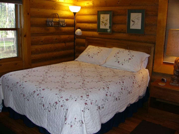 Downstairs Bedroom with Queen Bed