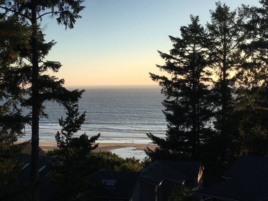 View from the great room