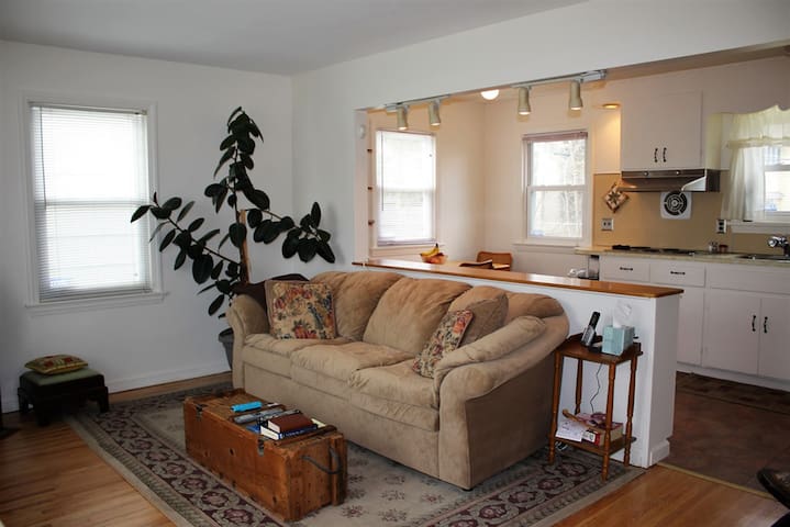 College Area/U of R/Strong Housing -EM3