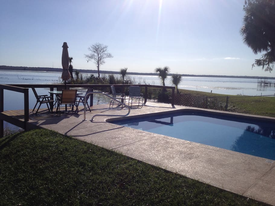 Swim in the crystal clear pool as you watch wildlife fly by!