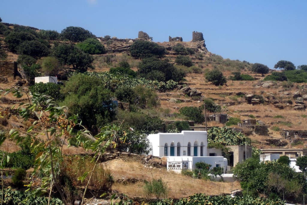 View of the house