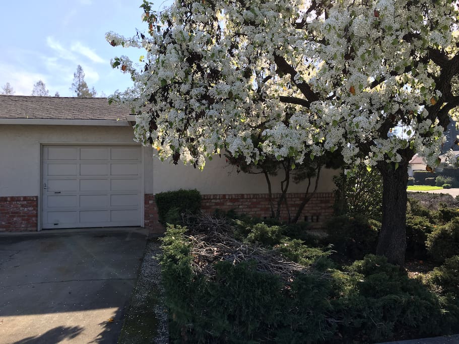 Garage and driveway.