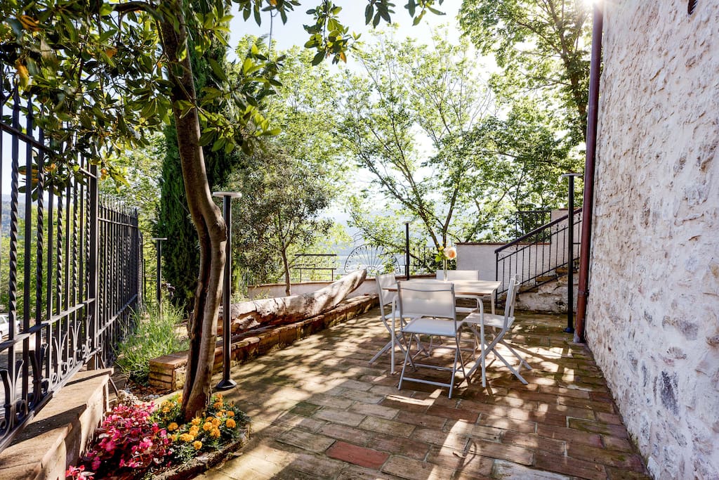 The Garden