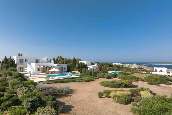 Villa Ekavi Filizi – Seaside Residence Naousa area gallery image 4