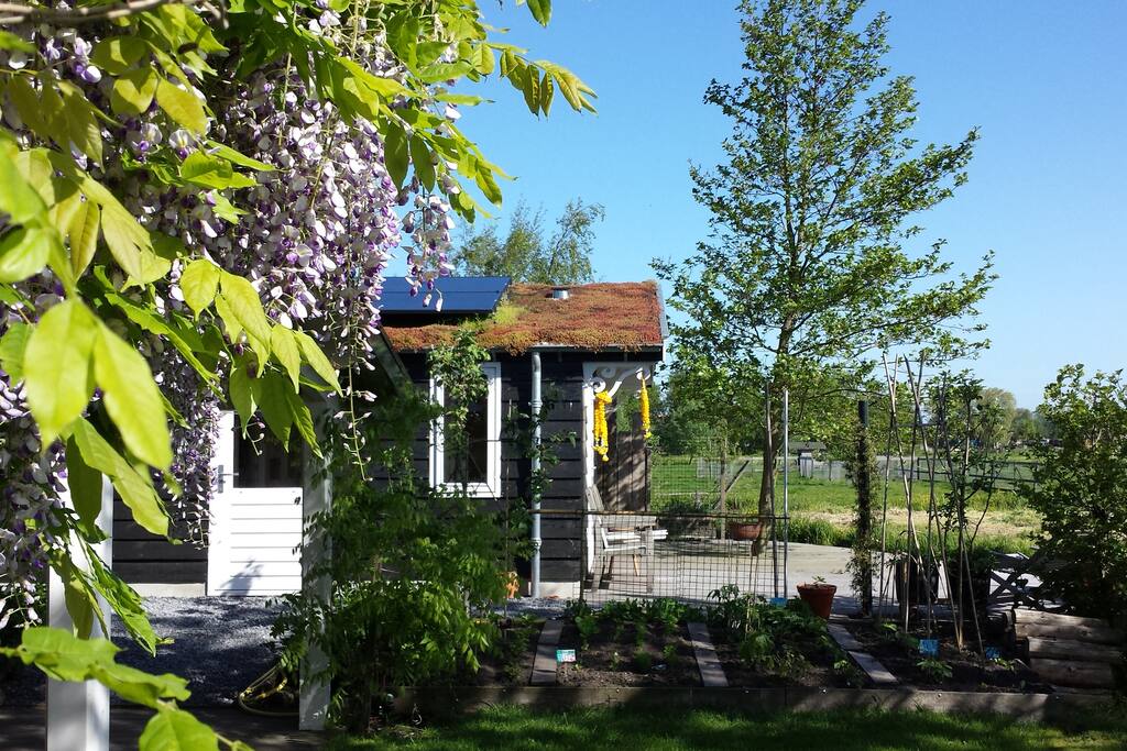 separated guesthouse