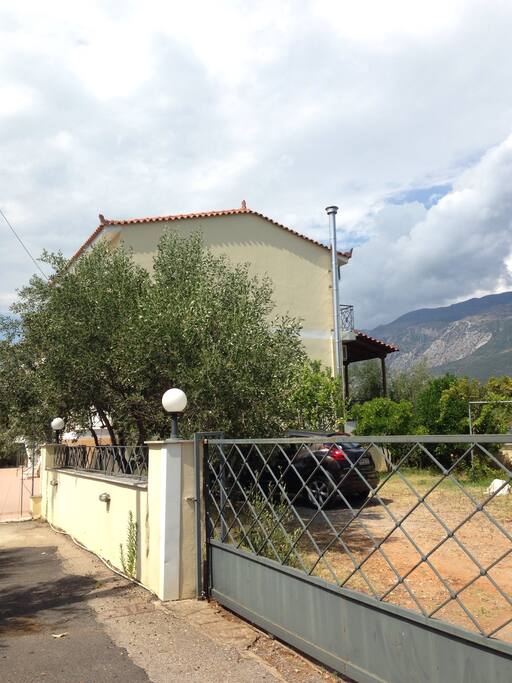 The house